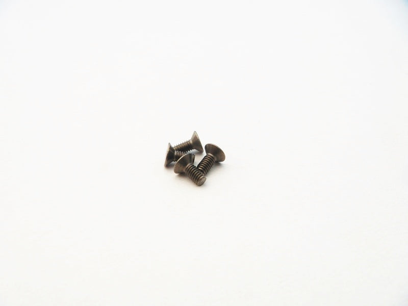 Hiro Seiko Titanium M2.5 Hex Flat Head Screw (4 pcs)