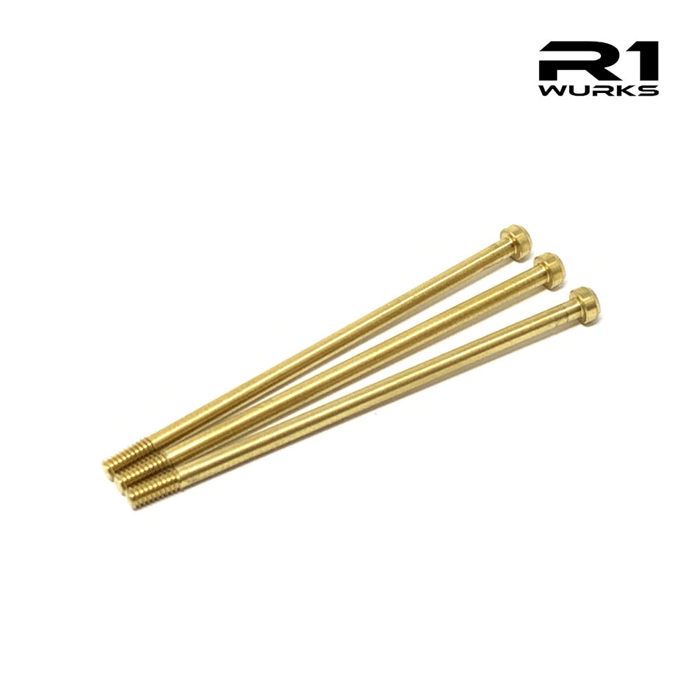 R1 V21 020049 Titanium Can Screws