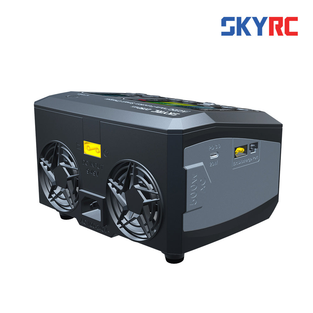 SkyRC SK-100201 D750 MIX AC/DC Charger