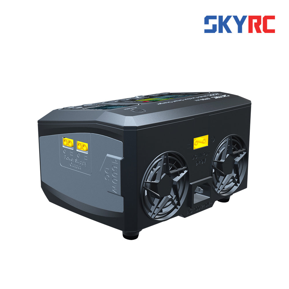 SkyRC SK-100201 D750 MIX AC/DC Charger