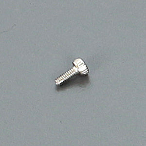 ARC R105101 2x5mm Cap Screw (10)